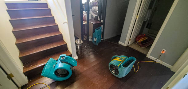 Best Water damage restoration specialists  in Mount Vernon, VA