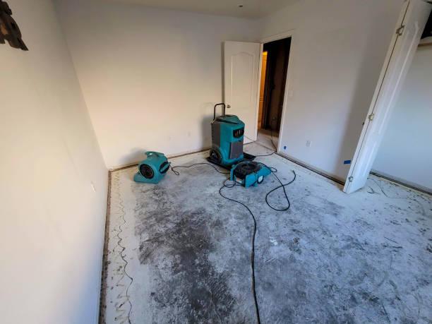 Best Mold removal after water damage  in Mount Vernon, VA