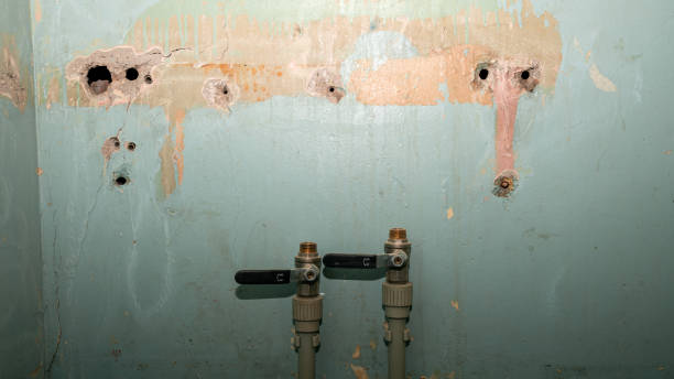  Mount Vernon, VA Water damage restoration Pros