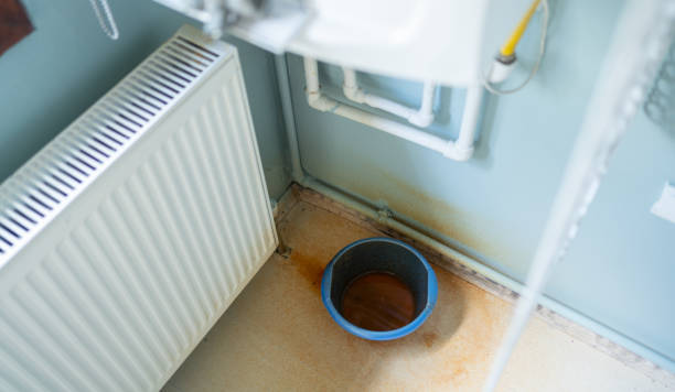 Best Water damage restoration near me  in Mount Vernon, VA