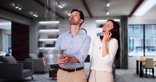 Best Water damage cleanup near me  in Mount Vernon, VA