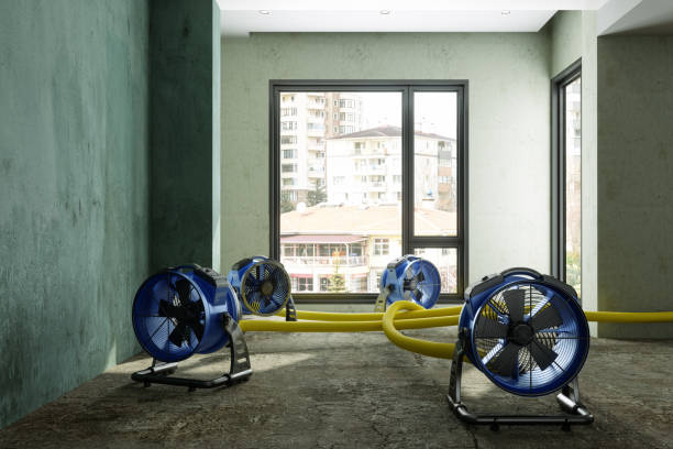 Best Water damage contractors near me  in Mount Vernon, VA