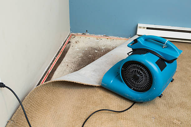 Best Sewage cleanup and water damage restoration  in Mount Vernon, VA